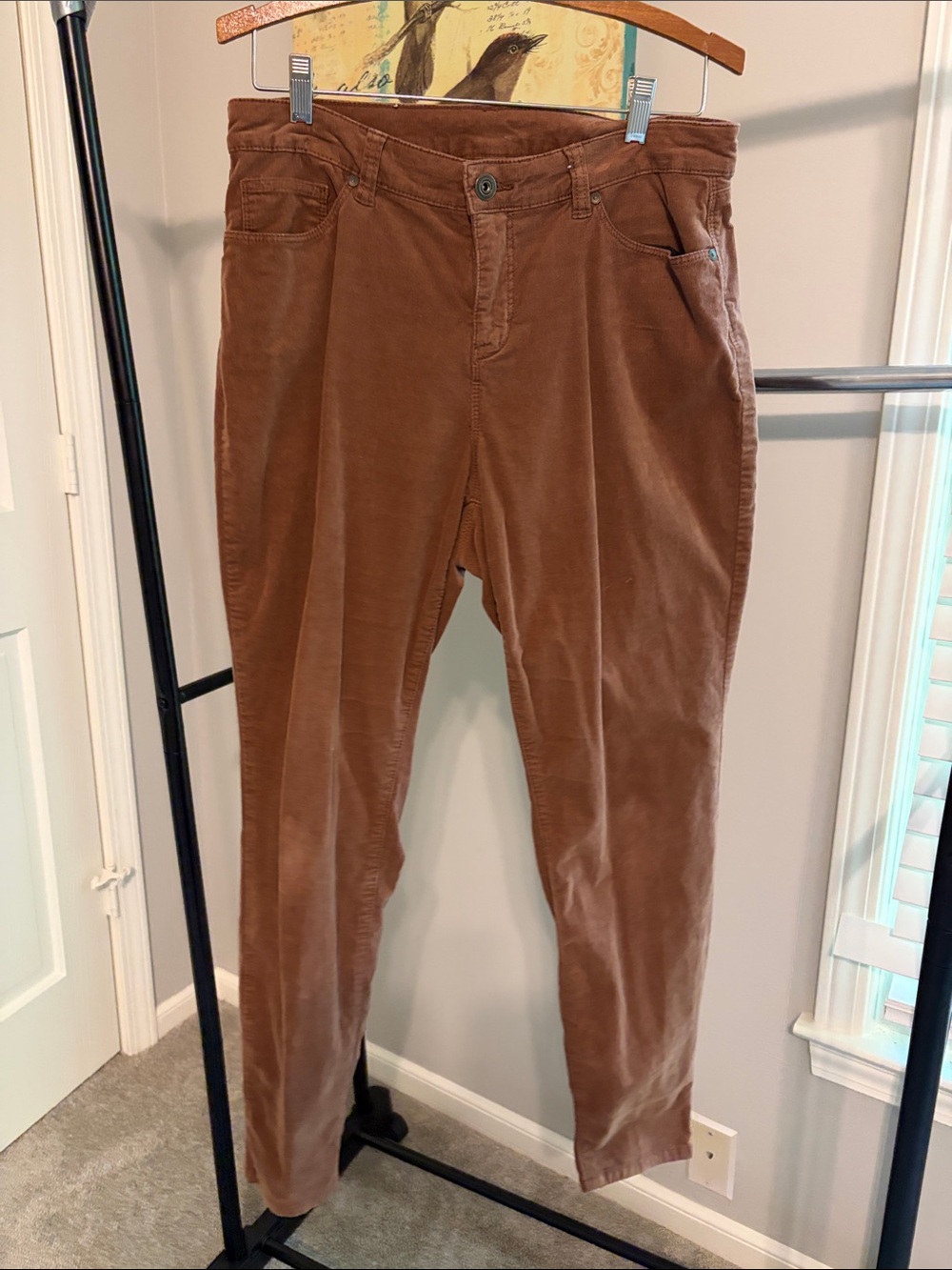 Style & Co. Brown Corduroy Pants